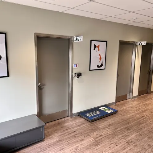 Pleasanton Veterinary Hospital Front Lobby hallway and doors to patient exam rooms